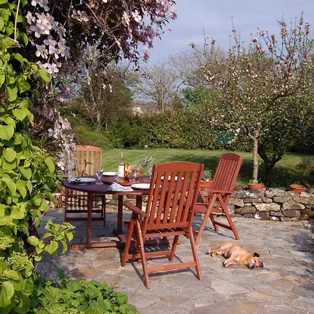 Sharamore House B&B-3